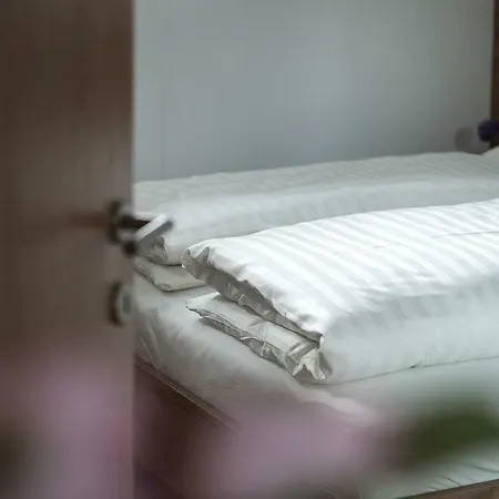 公寓 Meier 蒂罗尔-泽费尔德