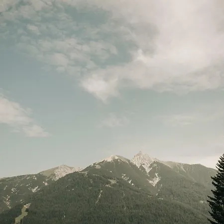 Meier * 蒂罗尔-泽费尔德